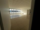 Affitto, Superfici commerciali, PIANIGA, 1.400 €, 250,00 mq