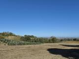 Particella, FORLI, 38.000 €, 11000,00 mq