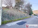 Particella, FONTANELLE, 50.000 €, 650,00 mq