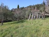 Particella, MONTECATINI VAL DI CECINA, 67.000 €, 3300,00 mq
