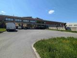 Affitto, Superfici commerciali, TRIESTE, 3.000 €, 400,00 mq