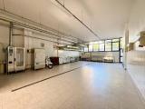 Superfici commerciali, LIVORNO, 195.000 €, 220,00 mq