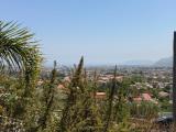 Particella, MONREALE, 100.000 €, 2600,00 mq