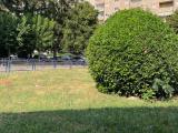 Superfici commerciali, TORINO, 46.000 €, 42,00 mq
