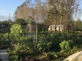 Particella, CIRIÈ, 25.000 €, 1050,00 mq
