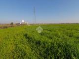 Particella, ROVATO, 600.000 €, 5200,00 mq