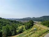 Particella, PALAZZAGO, 50.000 €, 6580,00 mq