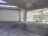 Affitto, Superfici commerciali, PRATO, 11.000 €, 940,00 mq