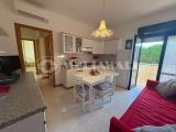 Appartamento, SAN MICHELE AL TAGLIAMENTO, 170.000 €, 55,00 mq
