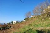 Particella, MONTEFIASCONE, 85.000 €, 3500,00 mq