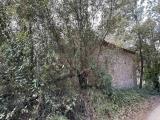 Appartamento, ROCCASTRADA, 40.000 €, 40,00 mq