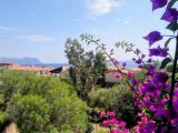 Affitto, Casa, GOLFO ARANCI, 2.300 €, 168,00 mq