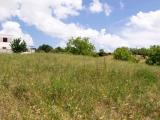 Particella, MARTINA FRANCA, 15.000 €, 6000,00 mq