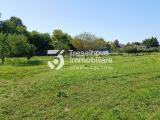 Particella, PAESE, 140.000 €, 3327,00 mq