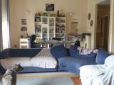 Appartamento, PAVIA, 400.000 €, 186,00 mq