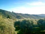 Appartamento, IMPERIA, 350.000 €, 260,00 mq