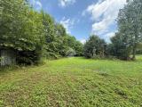 Particella, MIRANO, 50.000 €, 4770,00 mq
