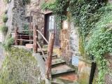 Superfici commerciali, BASSANO ROMANO, <i>A richiesta</i>, 29,00 mq