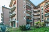 Appartamento, BOLOGNA, 227.000 €, 53,00 mq