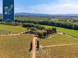 Superfici commerciali, MONTESCUDAIO, <i>A richiesta</i>, 7000,00 mq