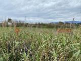 Particella, SESSA AURUNCA, 12.000 €, 1133,00 mq