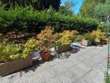 Appartamento, VARESE, 224.000 €, 112,00 mq