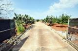 Particella, CASTRIGNANO DEL CAPO, 88.000 €, 9257,00 mq