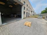 Superfici commerciali, BEREGAZZO CON FIGLIARO, 330.000 €, 564,00 mq