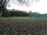 Particella, MANTOVA, 55.000 €, 629,00 mq