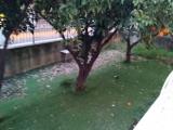 Appartamento, SAN NICOLA LA STRADA, 240.000 €, 140,00 mq