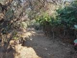 Particella, CASTELNUOVO, 29.000 €, 480,00 mq