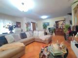 Appartamento, GROSSETO, 450.000 €, 196,00 mq