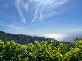 Appartamento, CAMOGLI, 330.000 €, 60,00 mq