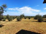 Affitto, Casa, FRASCATI, 2.200 €, 258,00 mq