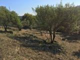 Particella, NARNI, 53.000 €, 1200,00 mq