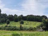Particella, PIOMBINO, 30.000 €, 10000,00 mq