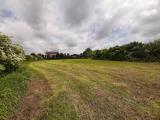 Particella, MIRA, Gambarare, 30.000 €, 3687,00 mq
