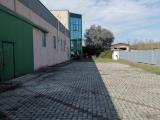 Affitto, Superfici commerciali, FAGNANO OLONA, 11.384 €, 2666,00 mq
