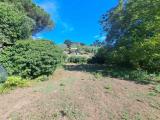 Particella, MANZIANA, 15.000 €, 2000,00 mq