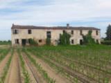 Particella, BOVOLONE, 85.000 €, 400,00 mq