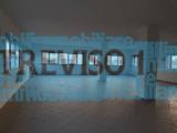 Affitto, Superfici commerciali, TREVISO, 1.700 €, 270,00 mq