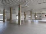 Superfici commerciali, SPILAMBERTO, 270.000 €, 260,00 mq