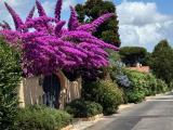 Affitto, Casa, ARDEA, Colle Romito, 3.800 €, 126,00 mq