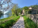 Casa, OLGINATE, 375.000 €, 403,00 mq