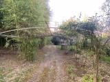 Particella, ROCCASTRADA, 25.000 €, 8000,00 mq