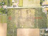 Particella, CECINA, 250.000 €, 39930,00 mq