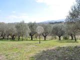 Particella, ROMA, Finocchio, 30.000 €, 1200,00 mq