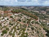 Particella, MODICA, 50.000 €, 20585,00 mq