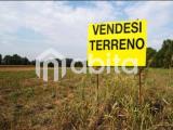 Particella, BUCINE, 40.000 €, 25000,00 mq