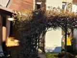 Casa, CALDONAZZO, 330.000 €, 152,00 mq